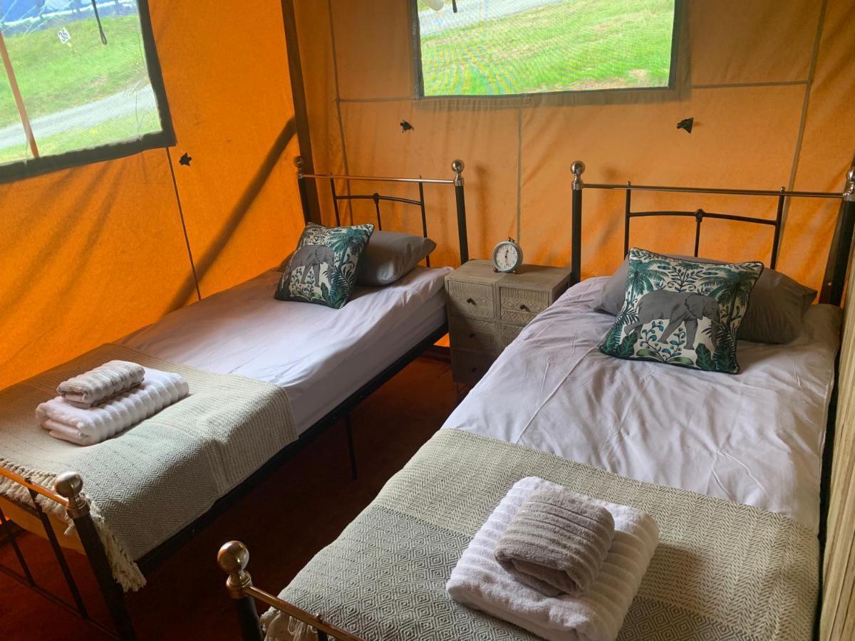 Mountain View Safari Tent With Hot Tub In The Heart Of Snowdonia Dolgellau Buitenkant foto