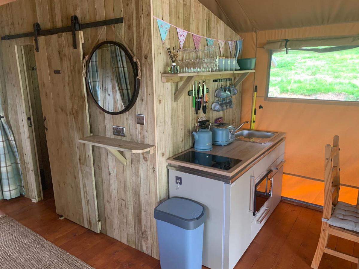 Mountain View Safari Tent With Hot Tub In The Heart Of Snowdonia Dolgellau Buitenkant foto