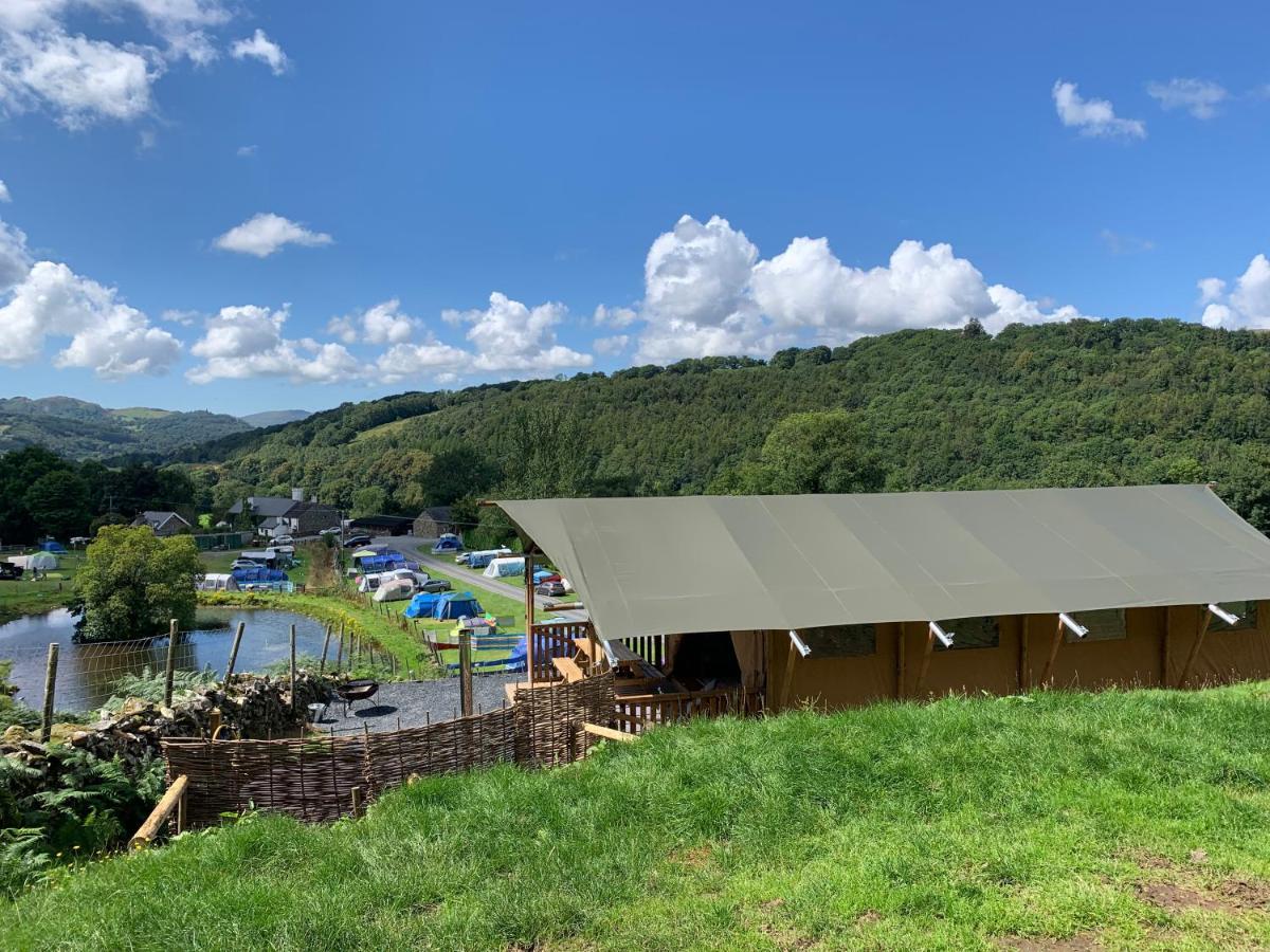 Mountain View Safari Tent With Hot Tub In The Heart Of Snowdonia Dolgellau Buitenkant foto